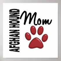 Afghan Hound Mum 2