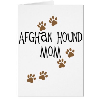 Afghan Hound Mum by dogsandhorses