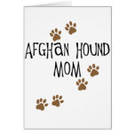Afghan Hound Mum