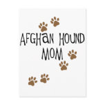 Afghan Hound Mum