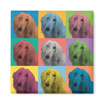 Afghan Hound Pop-Art Magnets
