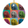 Afghan Hound Pop-Art Ornament