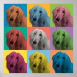 Afghan Hound Pop-Art Poster