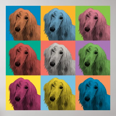 Afghan Hound Pop-Art Poster by dogpopart