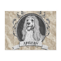 AFGHAN HOUND