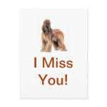 Afghan Hound Postcards