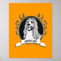 AFGHAN HOUND