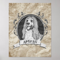 AFGHAN HOUND