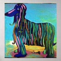 Afghan Hound