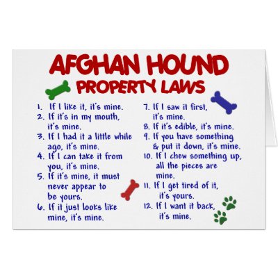 Afghan Hound Property Laws 2 by poochloverstuff