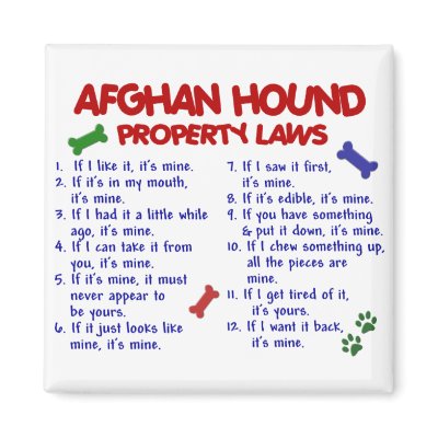 Afghan Hound Property Laws 2 by poochloverstuff