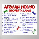 Afghan Hound Property Laws 2 posters