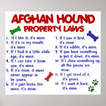 Afghan Hound Property Laws 2