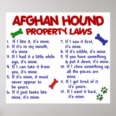 Afghan Hound Property Laws 2 by poochloverstuff
