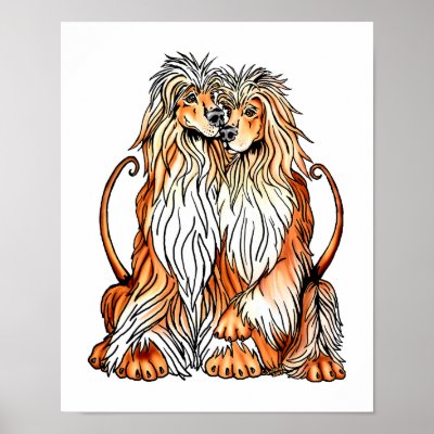 Afghan Hound Puppy Love Poster by DanesRUs