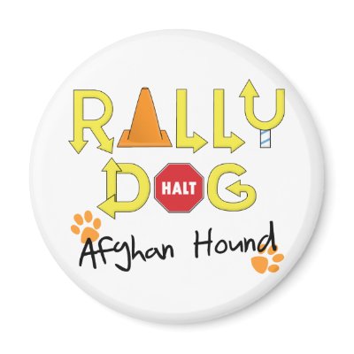 Afghan Hound Rally Dog Magnet by MenagerieMayhem