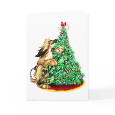 Afghan Hound Reach Goals BM Red by DanesRUs