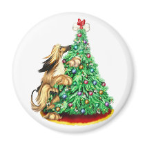 Afghan Hound Reach Goals BM Red