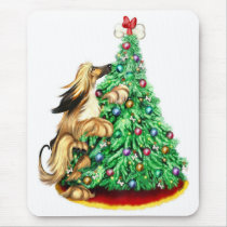 Afghan Hound Reach Goals BM Red