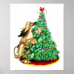 Afghan Hound Reach Goals BM Red