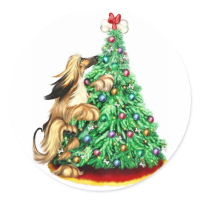 Afghan Hound Reach Goals BM Red by DanesRUs