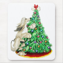 Afghan Hound Reach Goals Cream