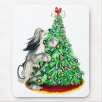 Afghan Hound Reach Goals Domino Blue Cream