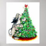 Afghan Hound Reach Goals Domino Blue Cream