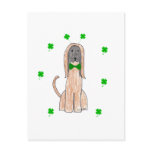 Afghan Hound Saint Patricks Day Post Cards