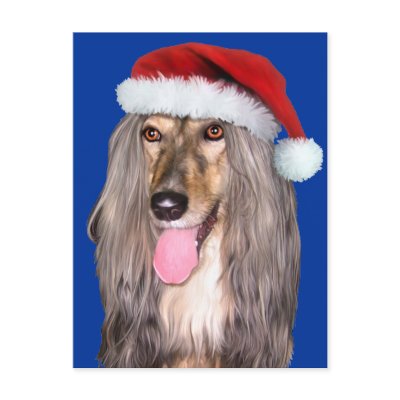Afghan Hound Santa Claus Post Cards by DanesRUs