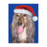 Afghan Hound Santa Claus Post Cards