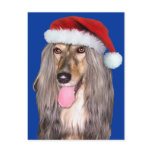 Afghan Hound Santa Claus postcards