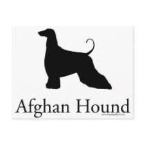 Afghan Hound Silhouette Post Card