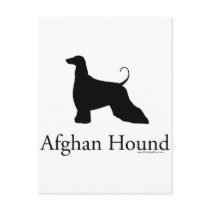Afghan Hound Silhouette Post Card