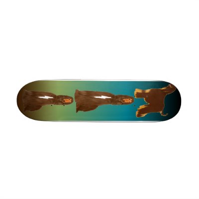Afghan Hound Skateboard by BarkWithin
