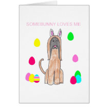 Afghan Hound Somebunny Loves Me cards