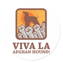 Afghan Hound