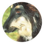 Afghan Hound stickers