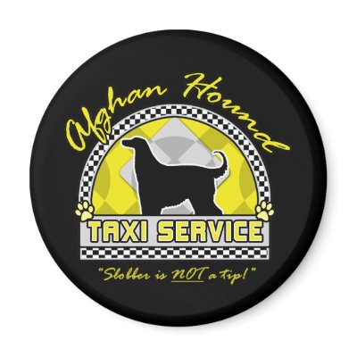 Afghan Hound Taxi Service by MenagerieMayhem