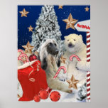 Afghan Hound Visits North Pole Art Posters