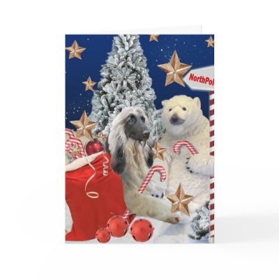 Afghan Hound Visits Polar Bear At North Pole Cards by friskybiz