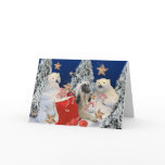 Afghan Hound Visits Santa's House Cards