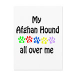 Afghan Hound Walks Design Postcard