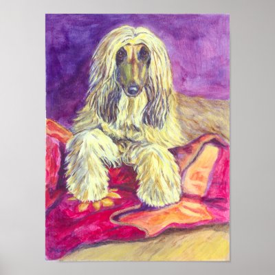 Afghan Hound Wall Print by Dogartist