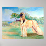 Afghan Hound Wall Print