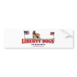 Afghan Hound with Flags bumper stickers