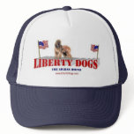 Afghan Hound with Flags Hat
