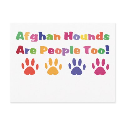 Afghan  Hounds Are People Too Post Card by mrscookiedog