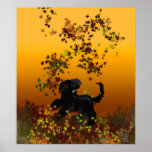 afghan leaf fun posters