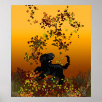afghan leaf fun poster